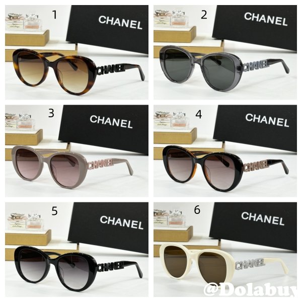 2025 CH 8048 Sunglasses
